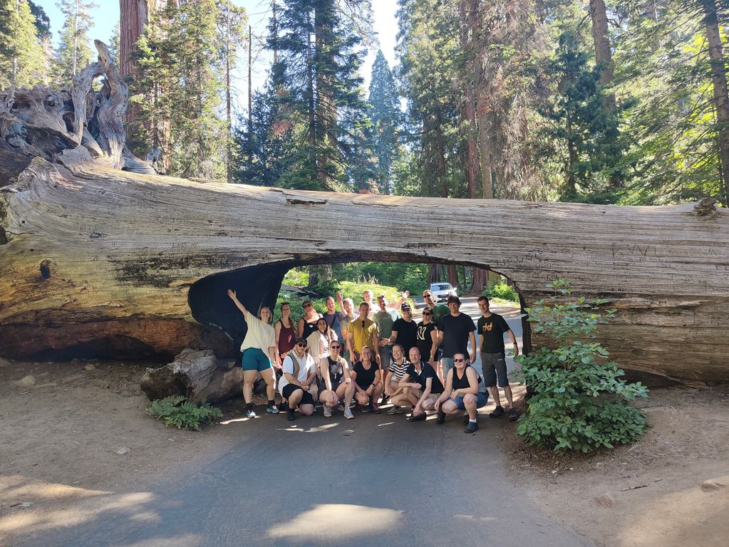 Groepsfoto Sequoia National Park